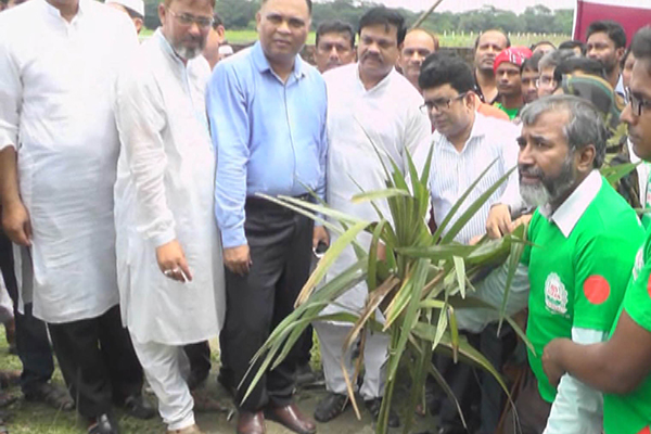 বজ্রপাতে প্রাণহানি কমাতে বরিশালে তাল গাছের চারা রোপন