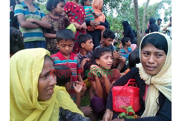 সীমান্ত দিয়ে ২২৪ রোহিঙ্গাকে ফেরত, ২ দালাল আটক