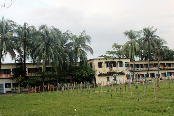 নরসিংদীতে স্কুল মাঠে পশুর হাট