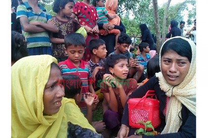 সীমান্ত দিয়ে ২২৪ রোহিঙ্গাকে ফেরত, ২ দালাল আটক