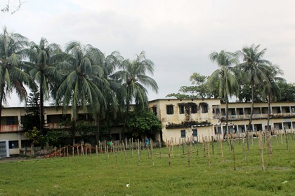 নরসিংদীতে স্কুল মাঠে পশুর হাট