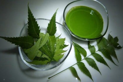 নিম পাতার কিছু জাদুকরী ব্যবহার 