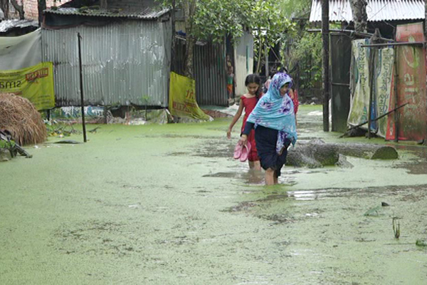 লক্ষ্মীপুরে ভারি বর্ষণে নিম্নাঞ্চল প্লাবিত, পানিবন্দী ২০ হাজার মানুষ