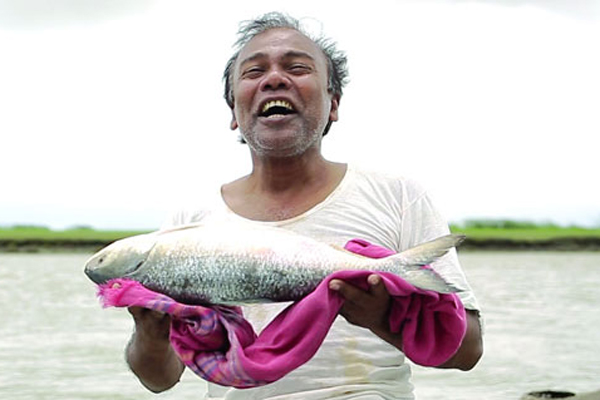 আসল নয়, 'গল্পের ইলিশ'!