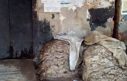 নাটোরে চামড়া ব্যবসার মন্দা অবস্থা