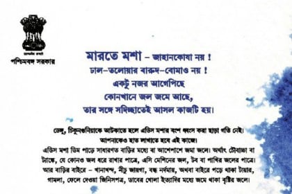 ছড়া দিয়ে মশা মারবে পশ্চিমবঙ্গ সরকার!
