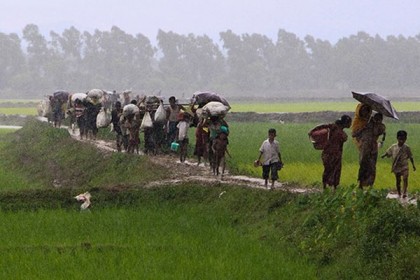 ২৪ ঘন্টায় বাংলাদেশে ৩৫ হাজার রোহিঙ্গার অনুপ্রবেশ: জাতিসংঘ