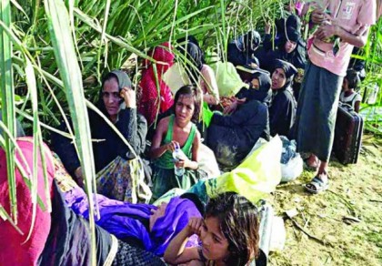 একদিনেই ২৬৪৯ রোহিঙ্গার অনুপ্রবেশ ঠেকিয়েছে বিজিবি