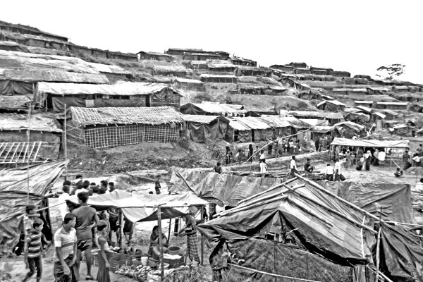 তাঁবু টাঙিয়ে বসবাস শুরু করেছে রোহিঙ্গারা