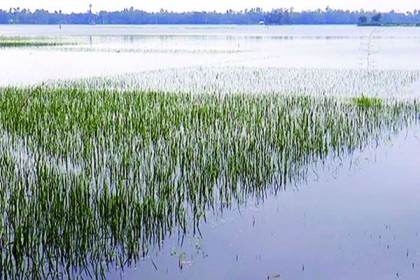 বগুড়ায় বন্যায় ৫০০ কোটি টাকার আর্থিক ক্ষতি