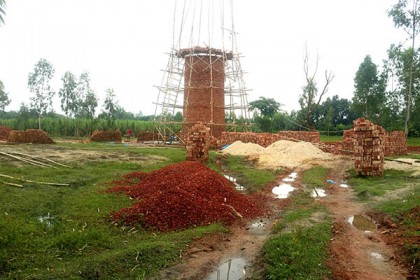 ঠাকুরগাঁওয়ে কৃষি জমিতে নতুন নতুন ইটভাটা, প্রশাসন নিরব