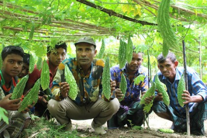 ঠাকুরগাঁওয়ের কৃষক মেহেদীর উৎপাদিত সবজি যাচ্ছে বিদেশে 