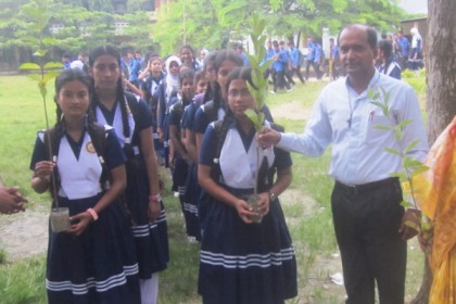 বড়াইগ্রামে ৮ টাকার গাছ দিয়ে ১৫ টাকা আদায়