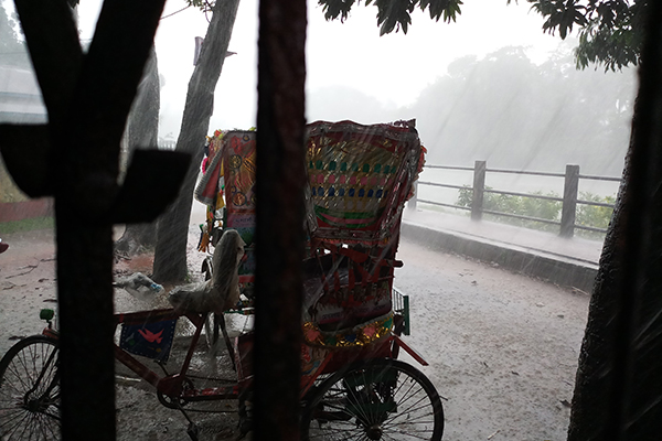 হঠাৎ বৃষ্টিতে নেত্রকোনায় জনমনে স্বস্তি