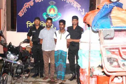ভারতে ইলিশ মাছ পাচারকালে কুমিল্লায় আটক ২ 
