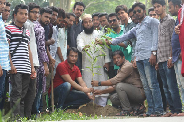 রাবিতে ছাত্রলীগের বৃক্ষরোপণ কর্মসূচি