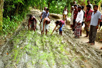 ধুনটে সড়কে ধান রোপন করে গ্রামবাসীর প্রতিবাদ
