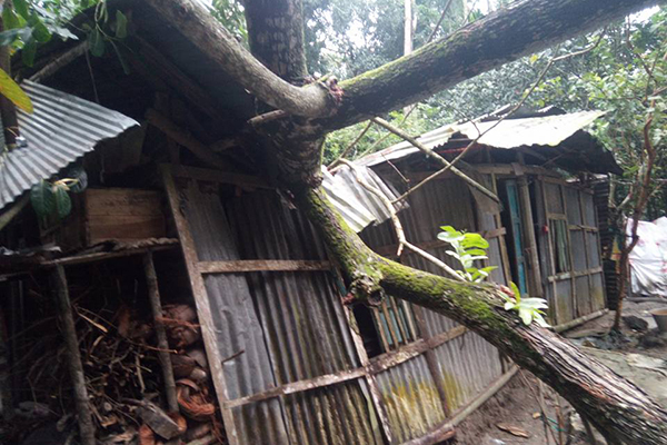 ঘূর্ণিঝড়ে লণ্ডভণ্ড রায়পুর, ৫ গ্রাম প্লাবিত