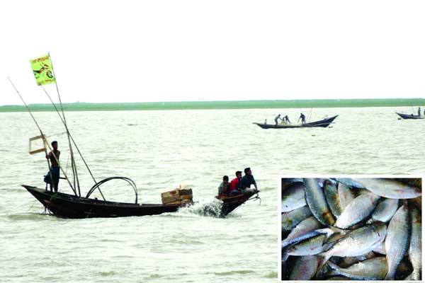 মধ্যরাত থেকে ইলিশ শিকারে নিষেধাজ্ঞা