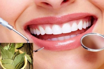 তেজপাতা দিয়ে দাঁত ঝকঝকে সাদা করার কৌশল!