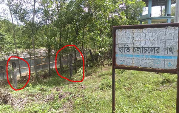 হাতির চলাচলের পথে কাঁটাতারের বেড়া