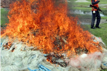 মোরেলগঞ্জে ৩৭ লাখ টাকার অবৈধ জাল ধ্বংস