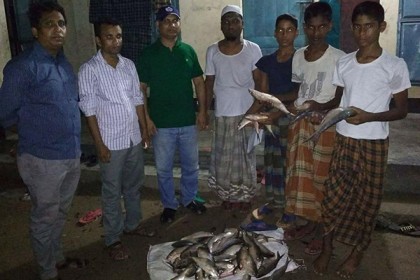 পাবনার পদ্মা নদী থেকে ১৮ জেলে গ্রেফতার