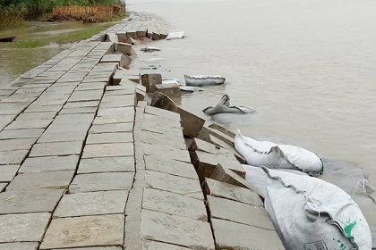 সিরাজগঞ্জে তীর সংরক্ষণ বাঁধের ২০ মিটার যমুনা নদীতে বিলীন