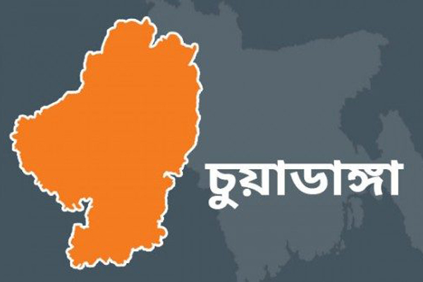 অবৈধভাবে ভারতে অনুপ্রবেশের সময় চুয়াডাঙ্গায় আটক ২০