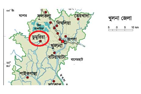 খুলনায় সড়ক দুর্ঘটনায় নিহত ২
