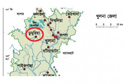 খুলনায় সড়ক দুর্ঘটনায় নিহত ২