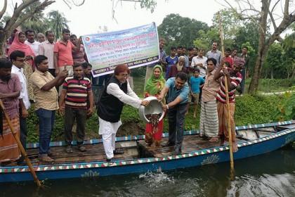বড়াইগ্রামে উন্মুক্ত জলাশয়ে দেশি প্রজাতির মাছ অবমুক্ত