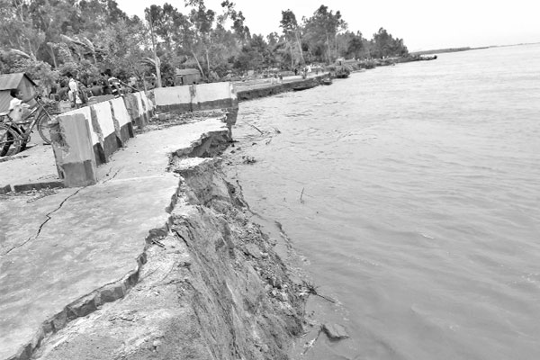 পাঁচ দিনে যমুনায় বিলীন ৩০০ বসতভিটা