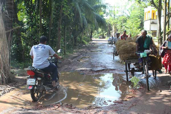 নাটোর-বাগাতিপাড়া রাস্তার বেহাল দশা