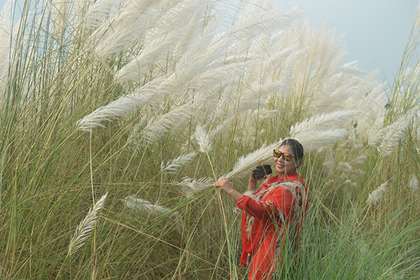 অযত্নে বেড়ে ওঠা কাশফুলের সৌন্দর্য 