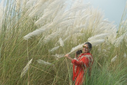 অযত্নে বেড়ে ওঠা কাশফুলের সৌন্দর্য 