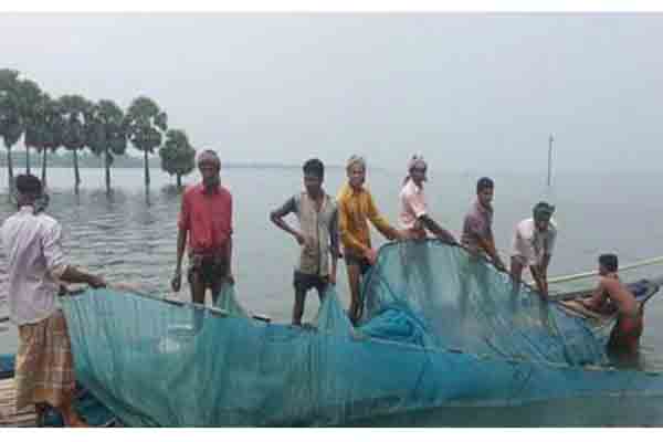 হালতিবিলে চলছে মৎস্য নিধনের ধুম 