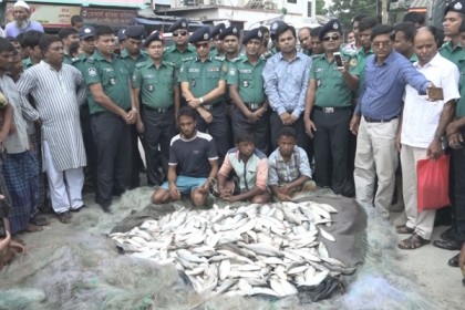 কীর্তনখোলা নদীতে পুলিশের অভিযানে জব্দ ৫ মণ ইলিশ, আটক ৩
