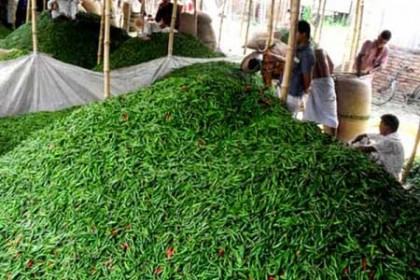 বাজারে কাঁচা মরিচের দাপট!