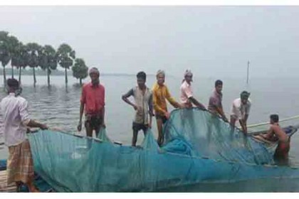 হালতিবিলে চলছে মৎস্য নিধনের ধুম 