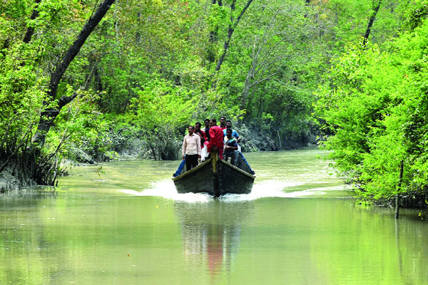 চোখ জুড়ায় হরিণঘাটা বনে