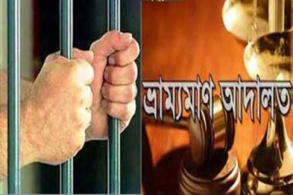 সিরাজগঞ্জে ইলিশ ধরায় ১৭ জেলের কারাদণ্ড