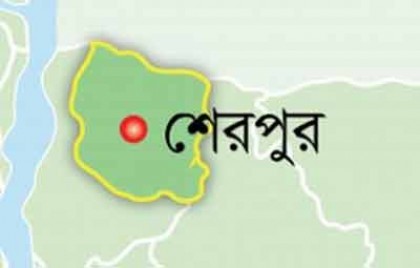 নকলায় বিদ্যুৎস্পৃষ্টে যুবকের মৃত্যু
