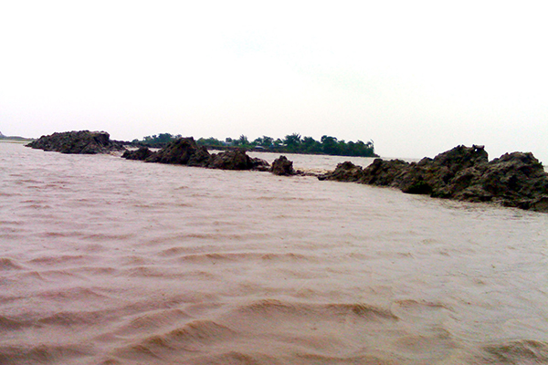 নির্মাণের দুই মাসেই বেড়িবাঁধে ধস, কলাপাড়ায় ১১ গ্রাম প্লাবিত
