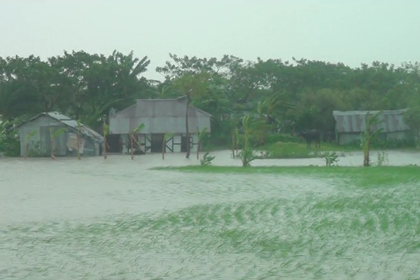 পটুয়াখালীতে জোয়ারের পানিতে প্লাবিত গ্রামের পর গ্রাম