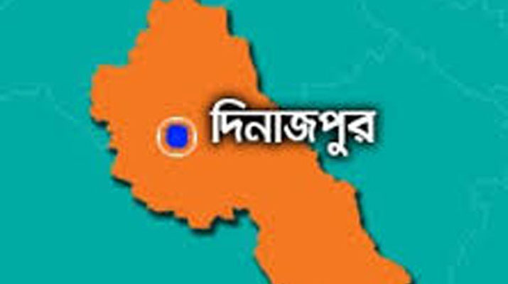 হিলি সীমান্তে দুই বাংলাদেশি আটক