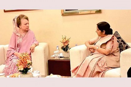 খালেদা বলেছেন, সুষমা তা শুনেছেন : মির্জা ফখরুল