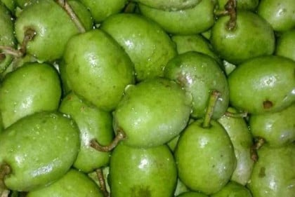 ক্যান্সার প্রতিরোধে জলপাই