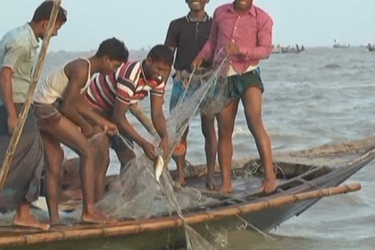 নিষেধাজ্ঞা শেষে ফের ইলিশ ধরতে নদীর বুকে জেলেরা