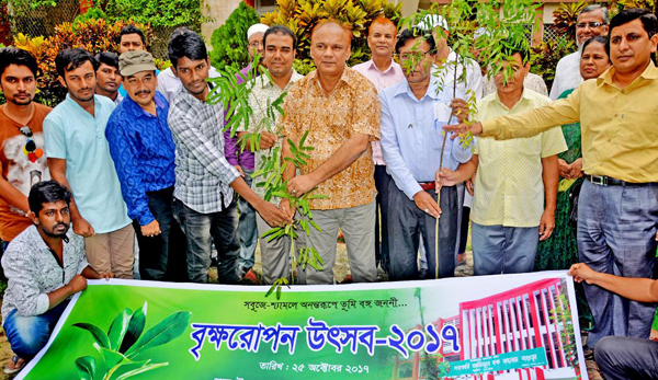 আজিজুল হক কলেজে ৩ শতাধিক বৃক্ষ রোপন